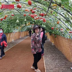 Gimje Horizon Festival - Gimje