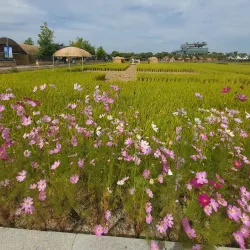 Gimje Horizon Festival - Gimje