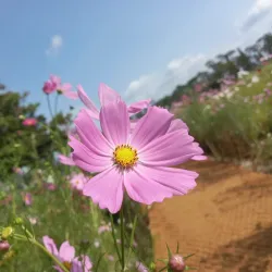 Gimje Horizon Festival - Gimje