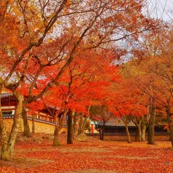 Gimje Horizon Park - Gimje