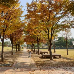 Gimpo Central Park - Gimpo