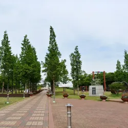 Gimpo Central Park - Gimpo