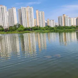 Gimpo Hangang River Park - Gimpo
