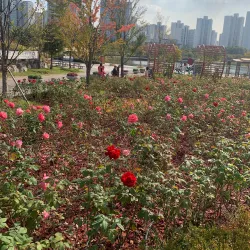 Gimpo Hangang River Park - Gimpo