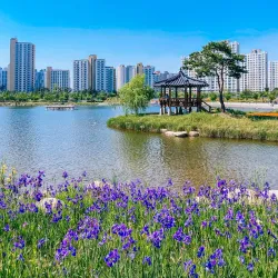 Gimpo Hangang River Park - Gimpo