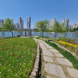 Gimpo Hangang River Park - Gimpo