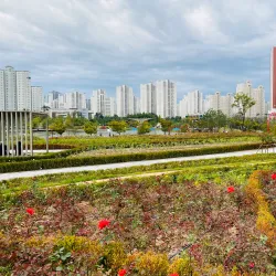 Gimpo Hangang River Park - Gimpo