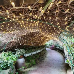 Gimpo Herb Island - Gimpo