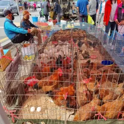 Gimpo Traditional Market - Gimpo