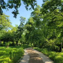 Jangneung Royal Tomb - Gimpo