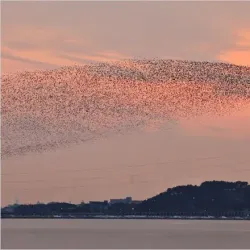 Geumgang River - Gongju