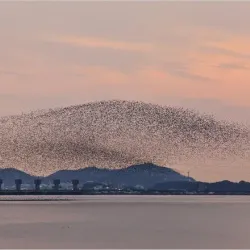Geumgang River - Gongju