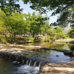 Magoksa Temple - Gongju