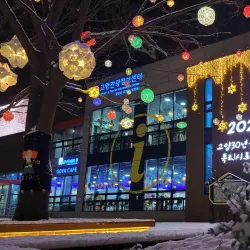 Goyang Cultural Center - Goyang