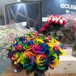 Lake Park Flower Festival - Goyang