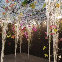 Lake Park Flower Festival - Goyang