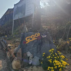 Donghwasa Temple - Gumi