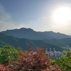 Geumosan Provincial Park - Gumi