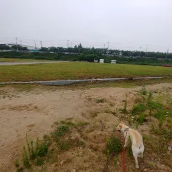 Gumi Riverside Park - Gumi