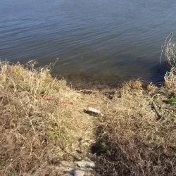 Gumi Riverside Park - Gumi