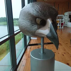 Nakdong River Observatory - Gumi