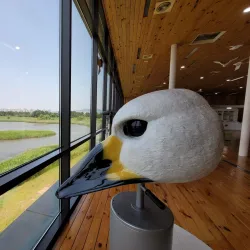 Nakdong River Observatory - Gumi