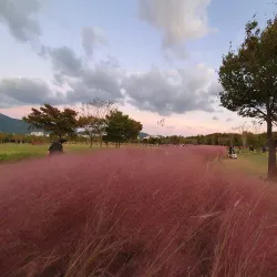Nakdong River Observatory - Gumi