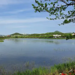 Gunpo Museum - Gunpo