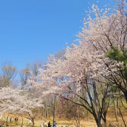 Gwangdeok Park - Gunpo