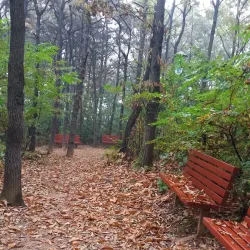 Gwangdeok Park - Gunpo