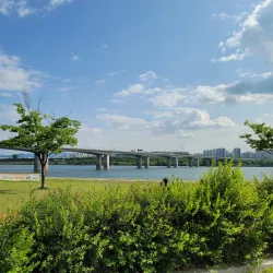 Sangwon Park - Gunpo