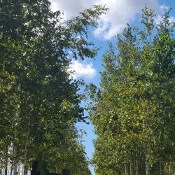 Sangwon Park - Gunpo