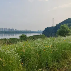 Sangwon Park - Gunpo