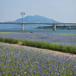 Sangwon Park - Gunpo