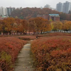 Surisan Mountain - Gunpo
