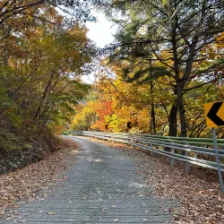 Surisan Mountain - Gunpo