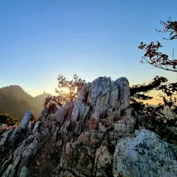 Surisan Mountain - Gunpo