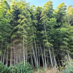 Dongguksa Temple - Gunsan