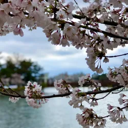 Eunpa Lake Park - Gunsan