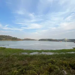 Eunpa Lake Park - Gunsan