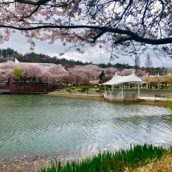 Eunpa Lake Park - Gunsan
