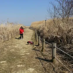 Geum River Estuary Ecological Park - Gunsan