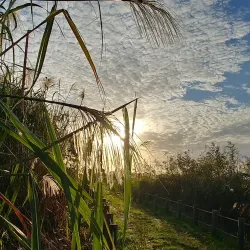 Geum River Estuary Ecological Park - Gunsan