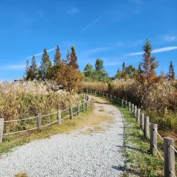 Geum River Estuary Ecological Park - Gunsan