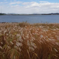 Geum River Estuary Ecological Park - Gunsan