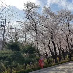 Cheongnyangni Park - Gwanak-gu