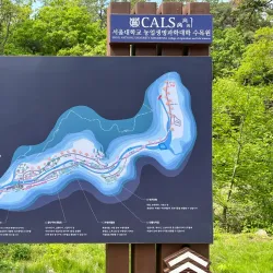 Seoul National University Arboretum - Gwanak-gu