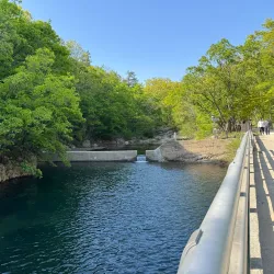 Seoul National University Arboretum - Gwanak-gu