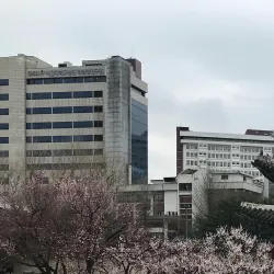 Seoul National University Hospital - Gwanak-gu