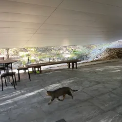 Seoul National University Museum of Art - Gwanak-gu